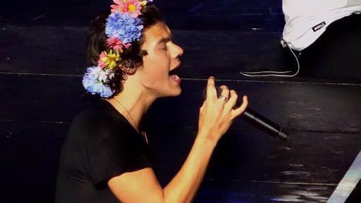 flower crown harry a thread