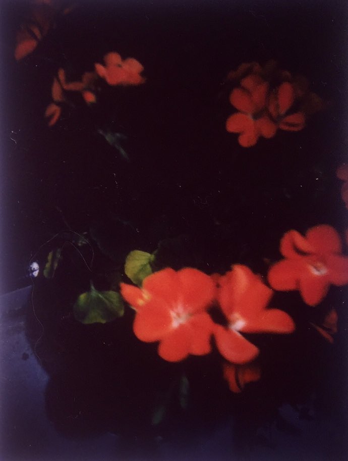 Two recent polaroids :0 #photography