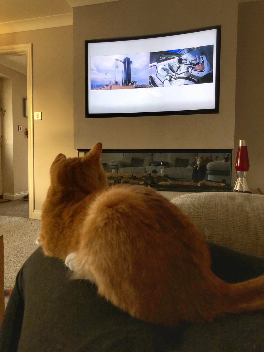 FlutterbyAimee's tweet photo. Leo is all ready for @NASA and @SpaceX’s launch! Best wishes for a smooth journey from 🇬🇧🇬🇧#LaunchAmerica https://t.co/5VYyXhctVC