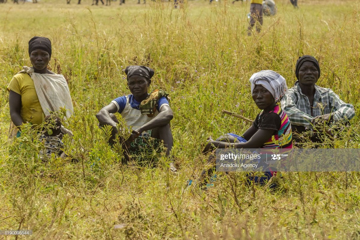 MahmoudHjaj's tweet photo. Daily life in #Yabus town #sudan
(Photo by #Mahmoud_Hjaj ) https://t.co/H5g1VulOPm