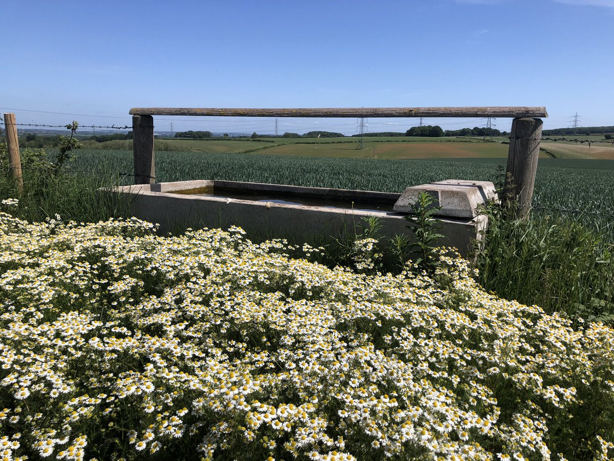 Dave Taylor tweet media