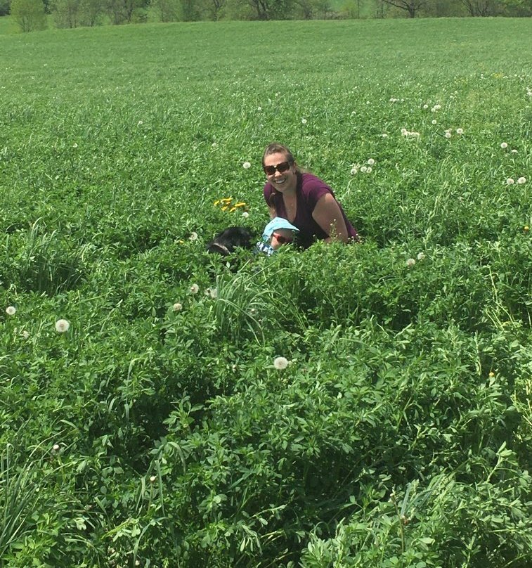Alfalfa is Connor tall! Which means 36.5%NDF on the PEAQ stick..only a couple days away! Checking 1st cut looks a little different on mat leave #trainthemyoung #purinaproactiv #stellaisanoldhatatthis