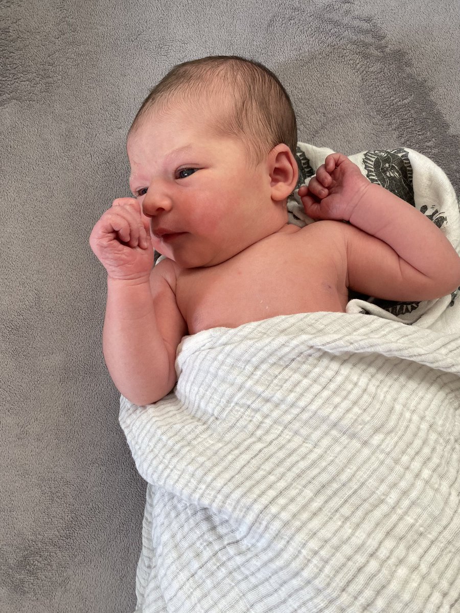 RyanTAnd's tweet photo. Our daughter was born at home earlier this morning at 2:37 AM. 7 pounds 12 ounces. 20 inches. Mama and baby are doing well. Big brother adores her. https://t.co/MljrdgydFg