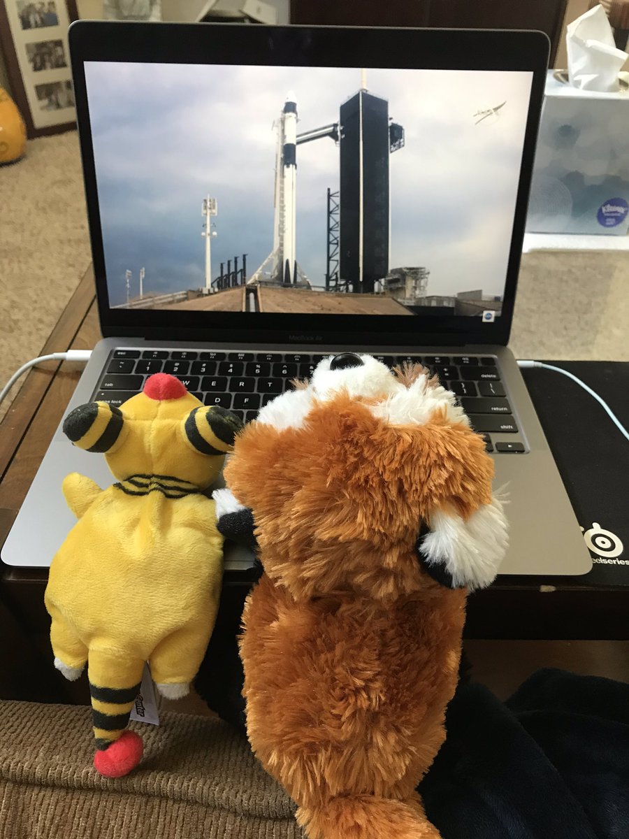 Amphyros2008's tweet photo. Watching the @SpaceX stream with @Samus2008 and Panda Jr 😊 https://t.co/O3CiUuVf2z