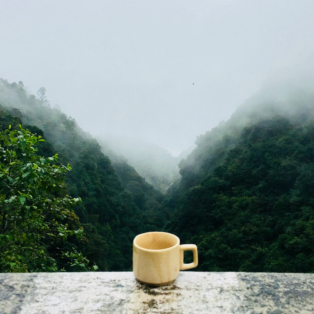 Bird Pick Tea & Herb tweet media