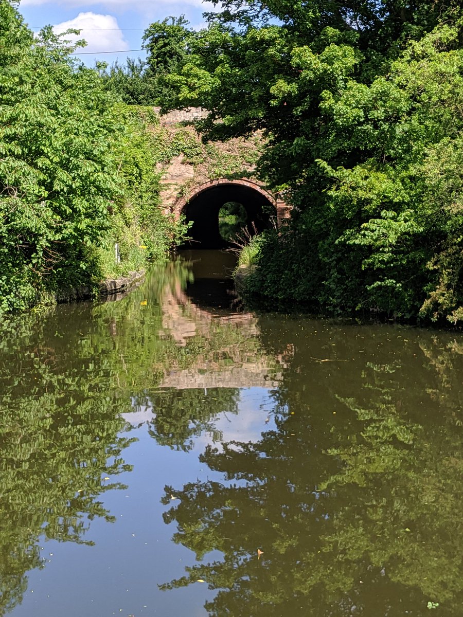 Adam Smalley tweet media