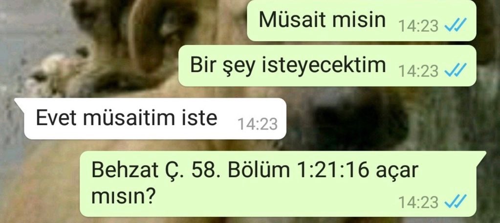 No Context Behzat C