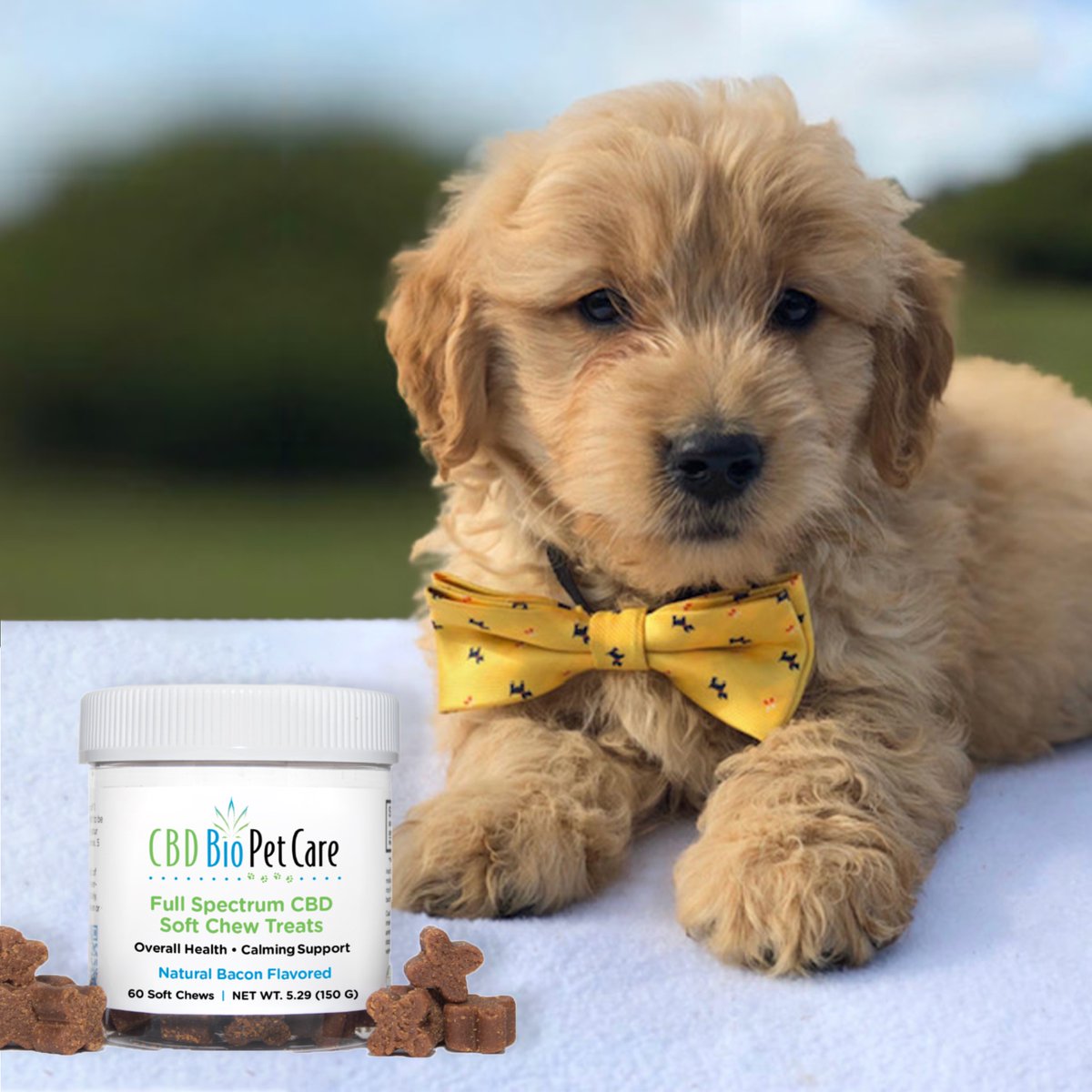 Lil925Tony's tweet photo. Get #CBD pet products along with a 5% discount before we run out here! https://t.co/TLxNqIYT7U https://t.co/UjJrd8frbZ