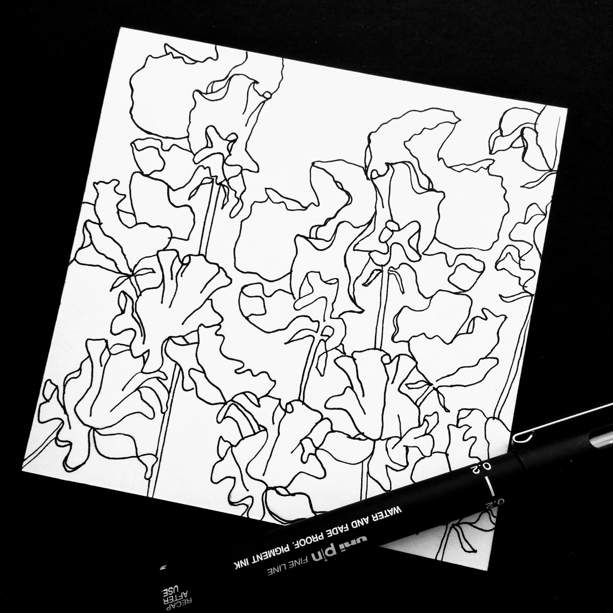 walteranddoris's tweet photo. 'There are few pleasures like really burrowing one's nose into sweet peas.' - Angela Thirkwell #doodle #lockdowndrawing #floralillustration #floraldrawing #drawingoftheday #botanicaldrawing #flowers #modernflorals #sketchaday #sketch #fineflorals #arttherapy #promarker #sweetpea https://t.co/MB0sLyZNlf