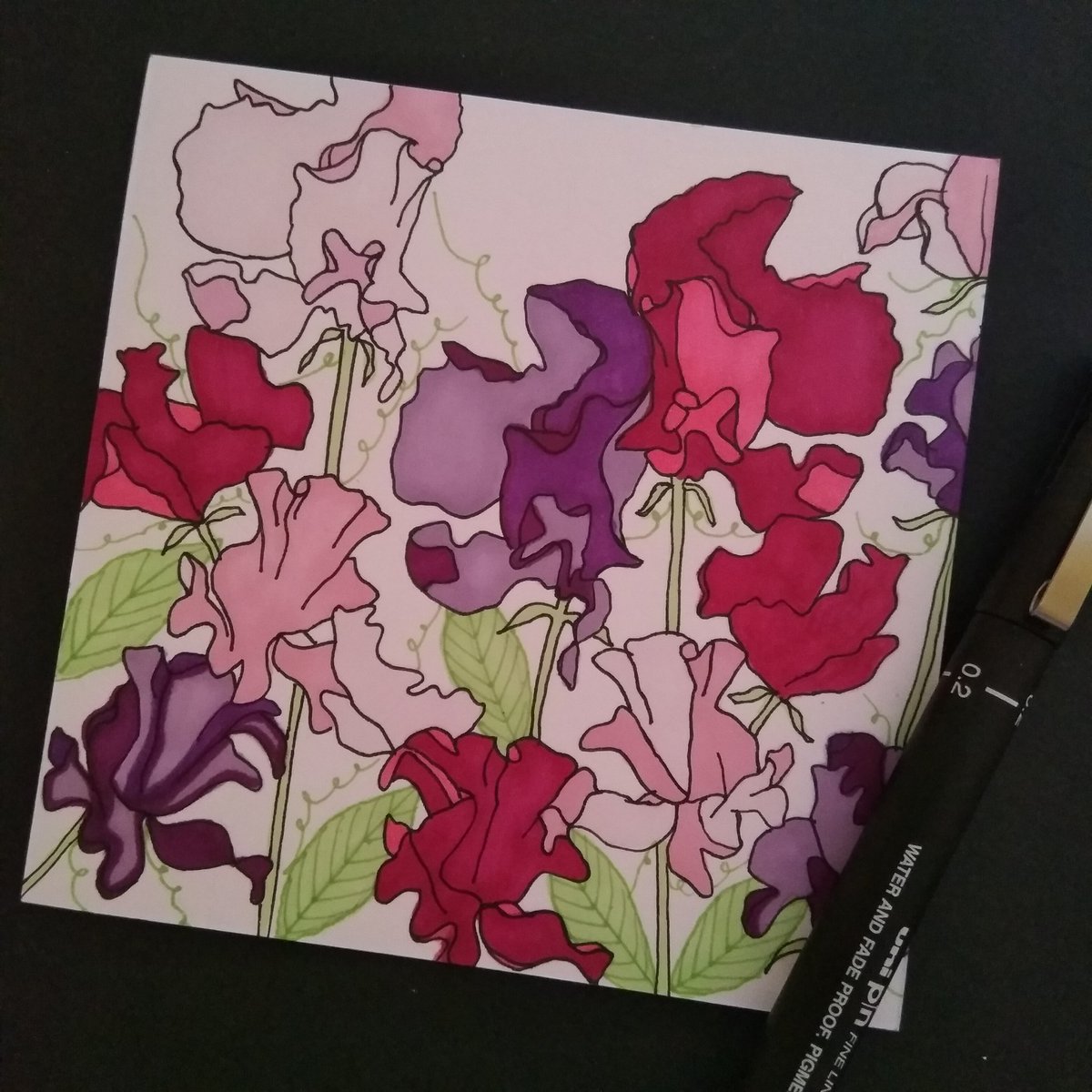 walteranddoris's tweet photo. 'There are few pleasures like really burrowing one's nose into sweet peas.' - Angela Thirkwell #doodle #lockdowndrawing #floralillustration #floraldrawing #drawingoftheday #botanicaldrawing #flowers #modernflorals #sketchaday #sketch #fineflorals #arttherapy #promarker #sweetpea https://t.co/MB0sLyZNlf