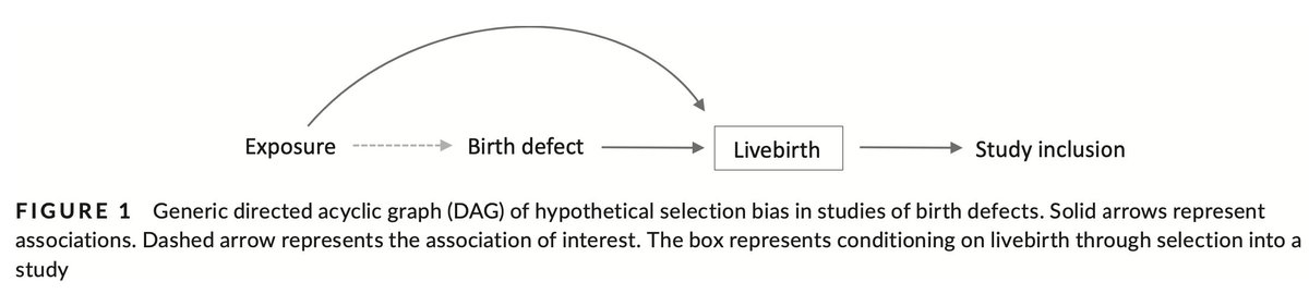 If we include all individuals with the birth defect regardless of whether they survive to live birth, we're good. But if we only include survivors to live birth, well, now we are stratifying on a collider, which may lead to collider stratification (aka selection) bias. 6/