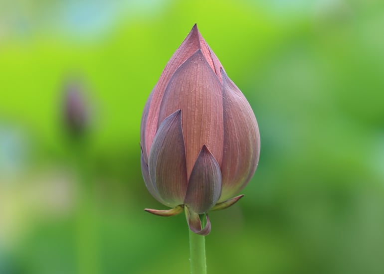 1440 Multiversity tweet media