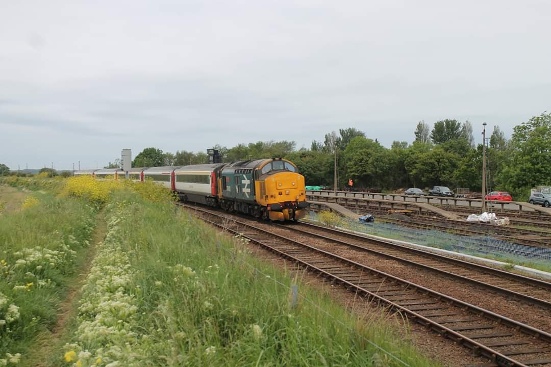 Tim Miller tweet media