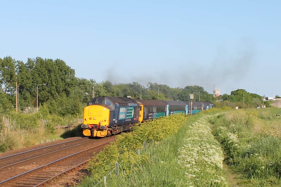 Tim Miller tweet media