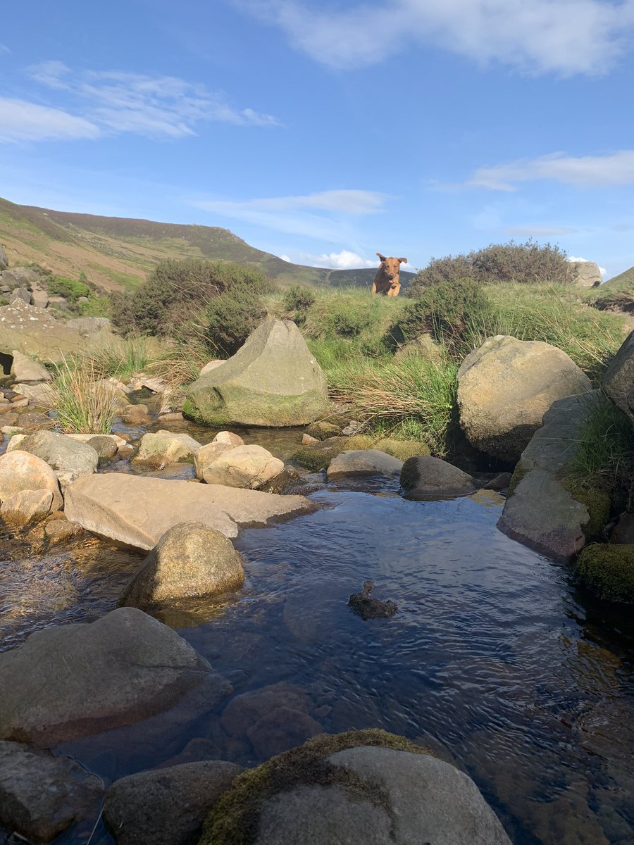 Kate 💃 tweet media