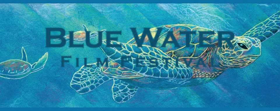Blue Water Film Festival tweet media