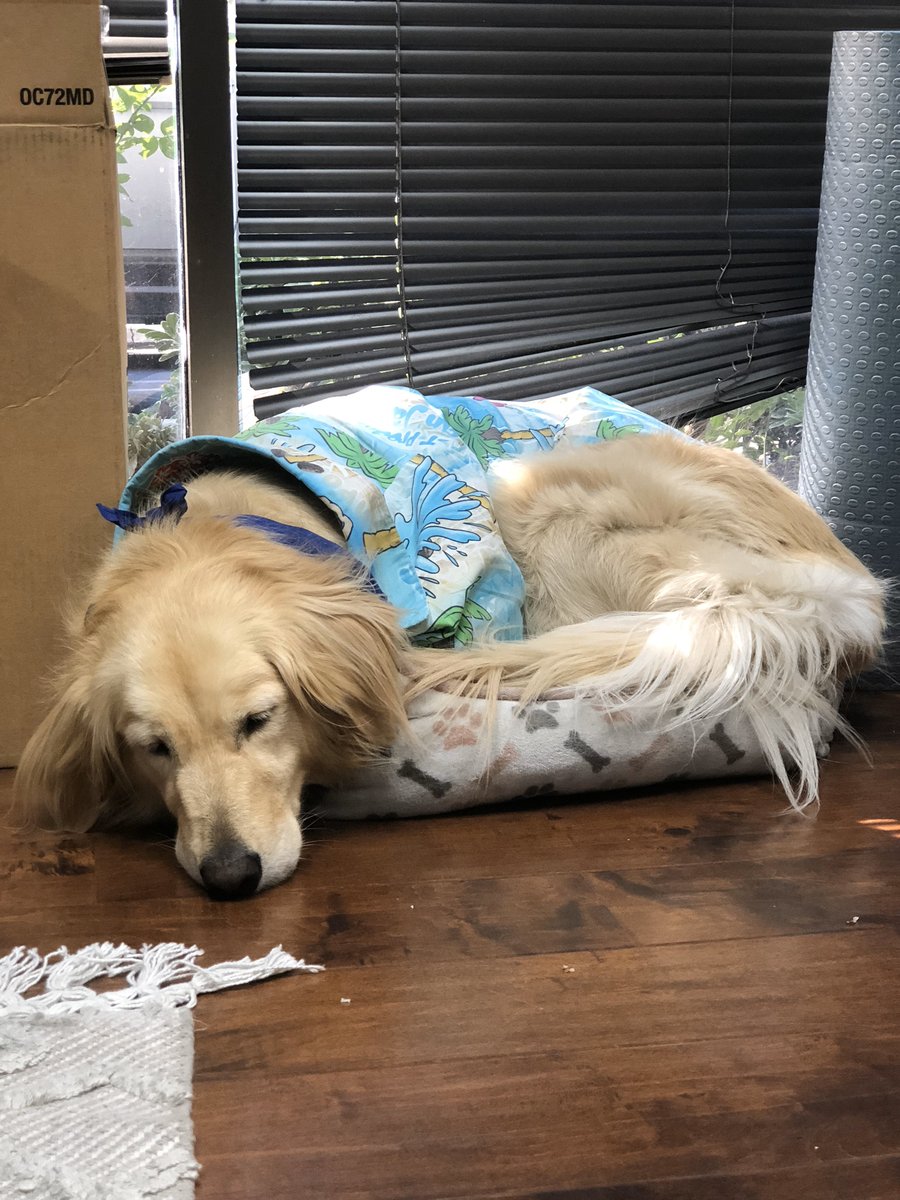 Dreaming of another 3-day weekend 💤 Who’s with me?!