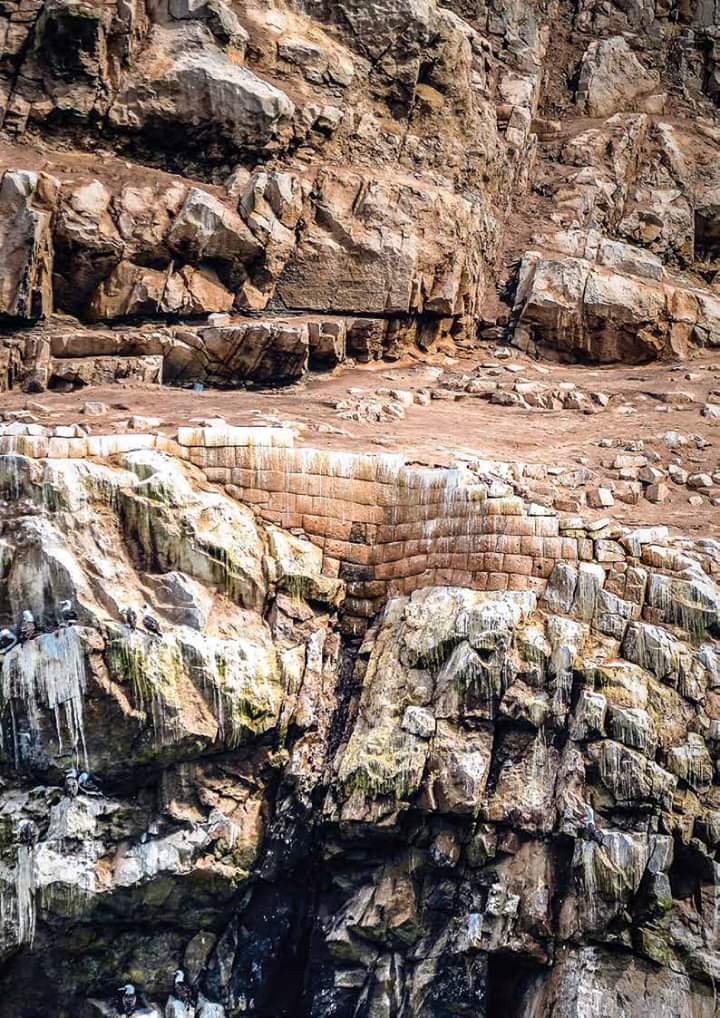 Hobbiton_Ica's tweet photo. 🇵🇪  Vista frontal, tomada desde el mar, del muro inca
construido con sillería en los farallones de El Huarco - Cerro Azul.

Arqueología Peruana.
(foto: cortesía de Rocío Villar Astigueta) https://t.co/6RjFSh4fKs