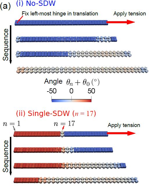 LuciaKorpas's tweet photo. As shown in the first video, transition waves of opposite rotation can propagate in a single system and, instead of merging, form a domain wall where they meet. The existence and location of this domain wall can be "read" from the chain end afterwards. https://t.co/AqrFNrWOcU