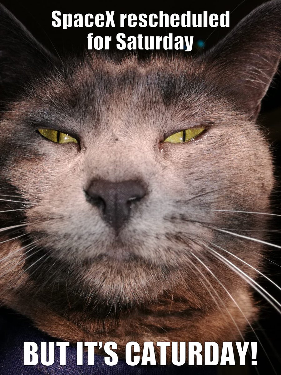 MySchrodyCat's tweet photo. #SpaceX https://t.co/x1pjEWVtgw