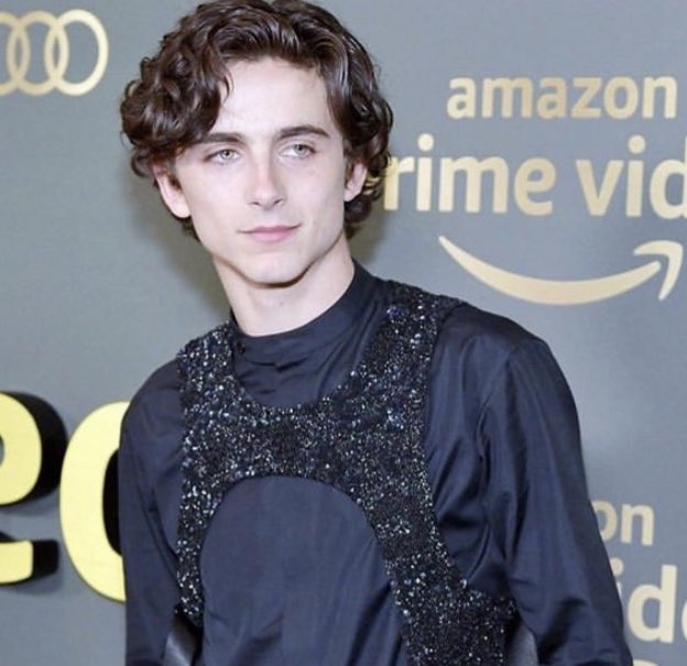 timothée chalamet as saoirse ronan and vice versa, a thread
