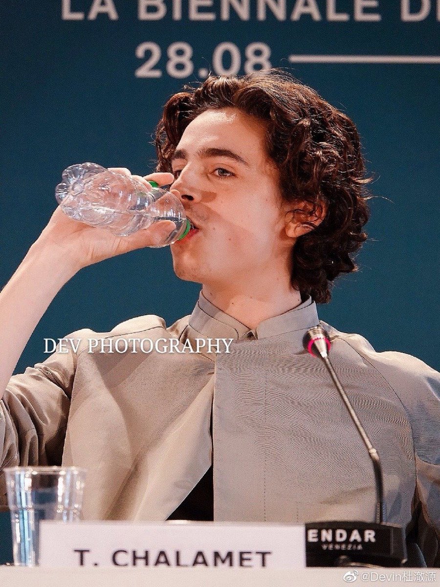timothée chalamet as saoirse ronan and vice versa, a thread