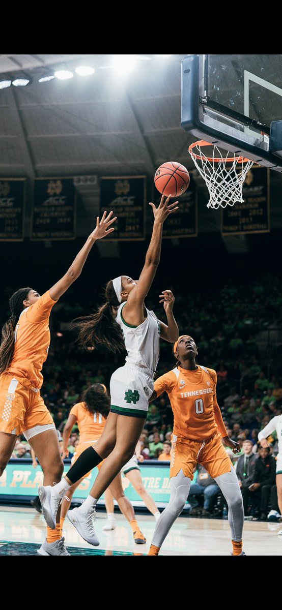 NotreDameGLD's tweet photo. Why @NotreDame? βοΈ
We gave our student-athletes a sentence or two to tell us why Notre Dame is for them!
βNotre dame is so much more than just a pretty campus, itβs a community that imitates a family that demands and provides excellence.β
@_sheh00ps of @ndwbbβοΈ
#WhyND #GoIrish https://t.co/qIwKt6R4zc