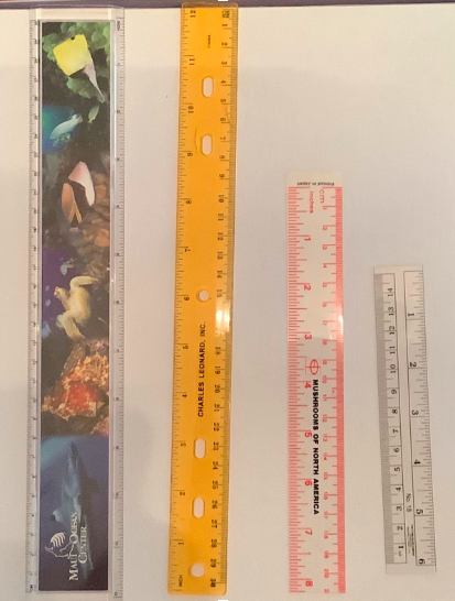 JodieHark's tweet photo. #mathwithmeMN Some very creative WODB creations from my students. Pick and item and say why it doesn't belong with the rest. https://t.co/opEaltY3Ic