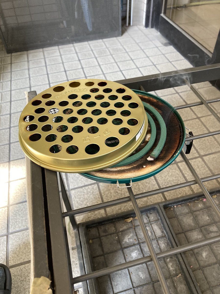 公式 星槎国際高等学校 福岡中央学習センター على تويتر 星槎の夏 福岡の夏