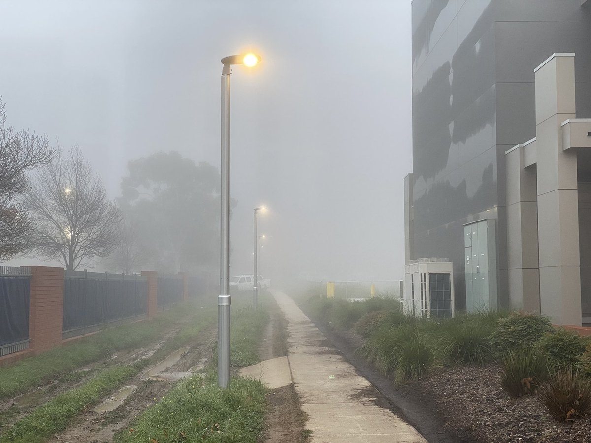 damn it’s like resident evil out here