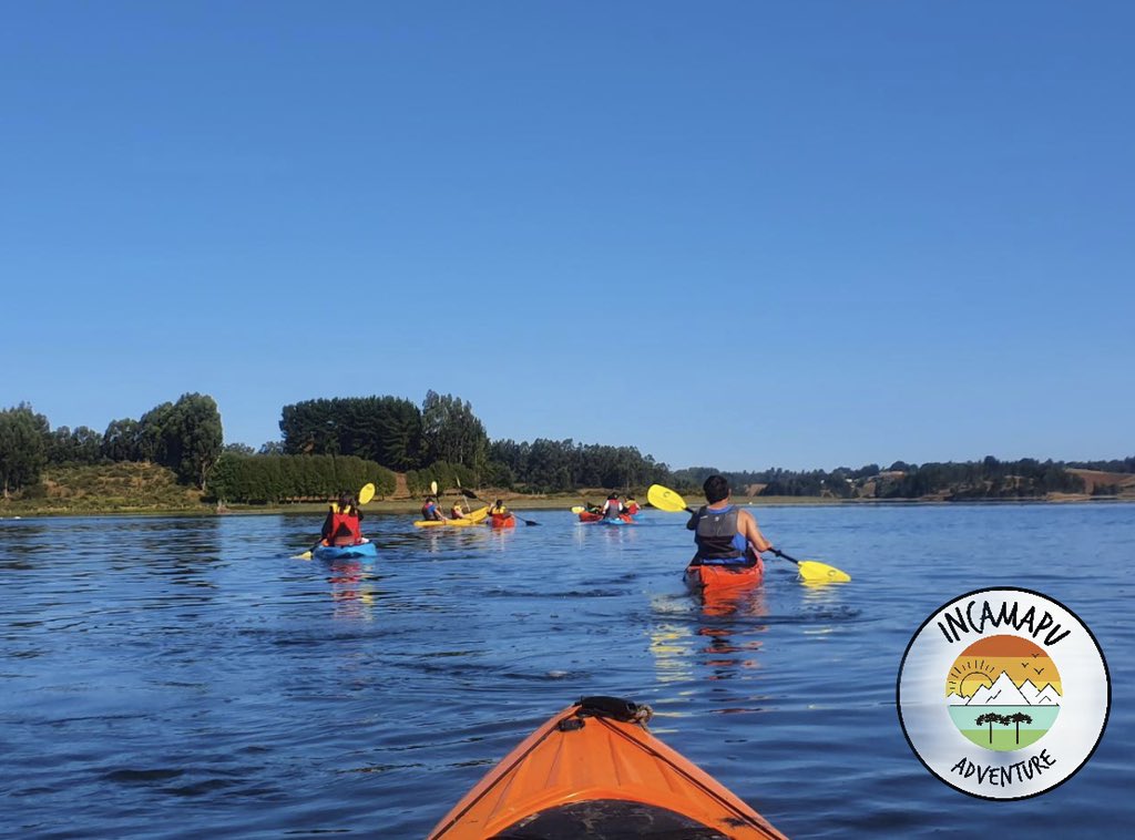 dpmsuarez tweet picture