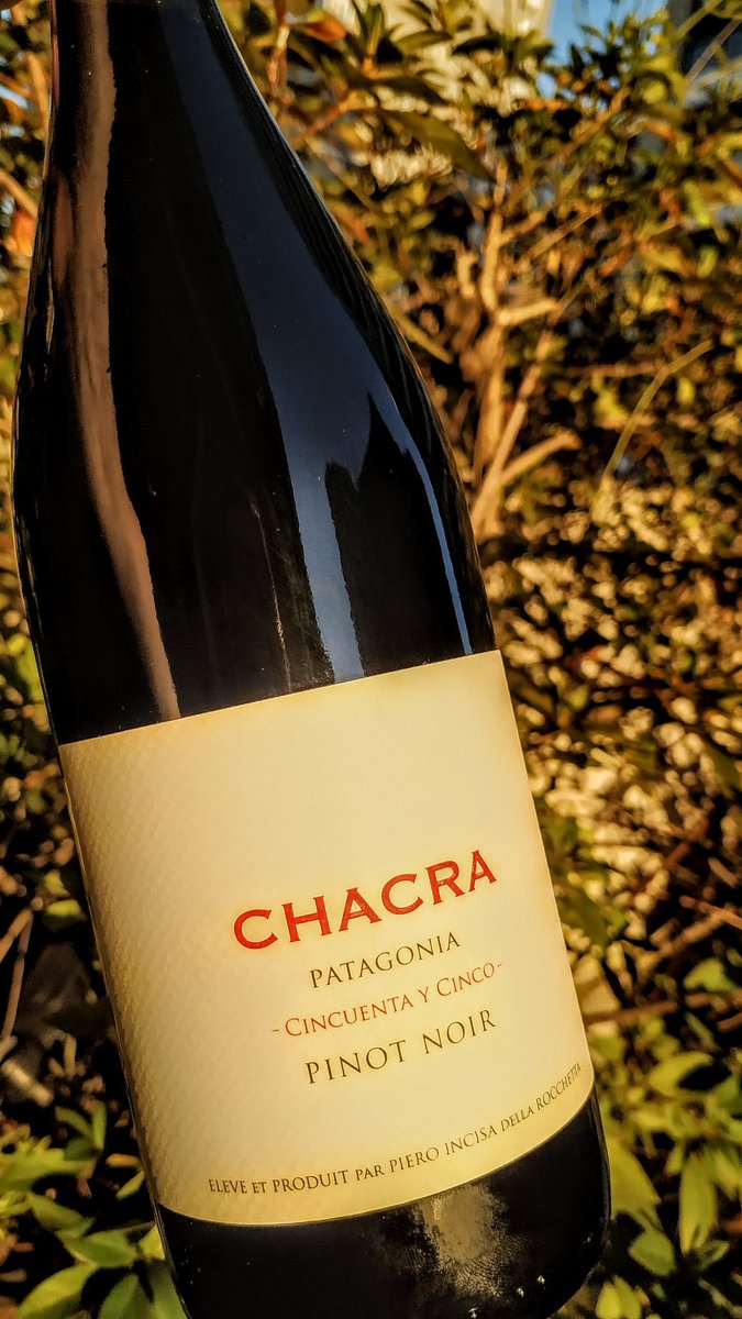 Chacra al Sol de Mayo 🍇🍷☀️
.
#vino #wine #winelover #winetime #chacra #bodegachacra #pinot #pinotnoir #Patagonia #vinoargentino #Argentina