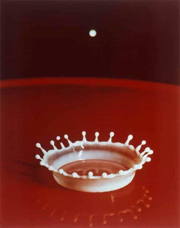 27-« Milk Drop Cornet » ou la couronne parfaite formée par la chute d’une goutte de lait prise au millionième de seconde, est une photographie d’Harold Edgerton. Ce concept qui nous est pourtant simple aujourd’hui de figer et capturer l’effet d’une goutte de lait