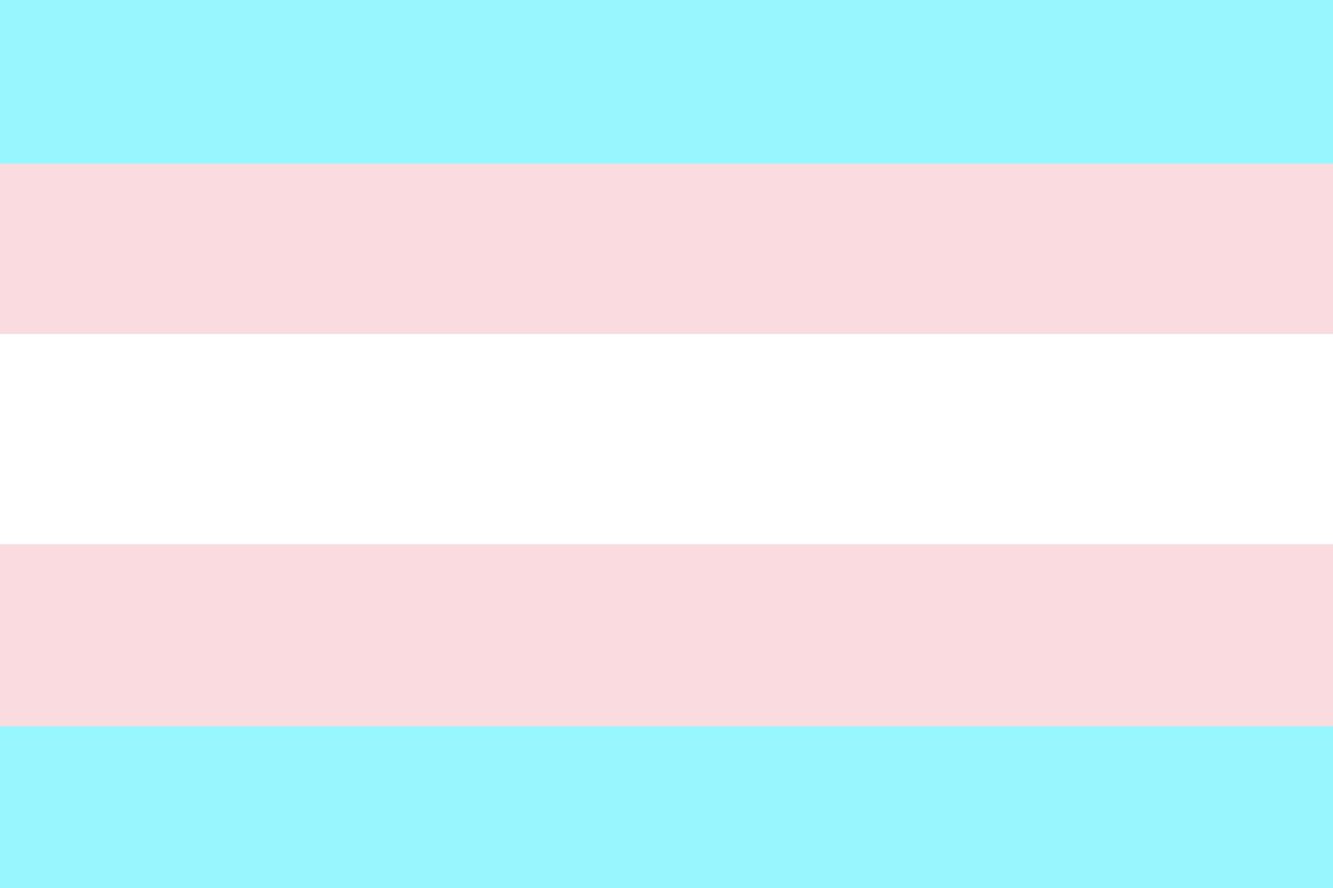 totheark  LGBT pride flags