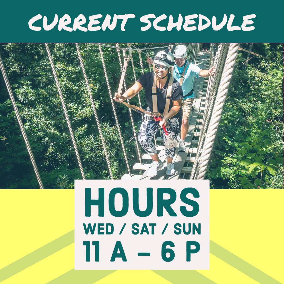 HighGravityAdventure tweet media