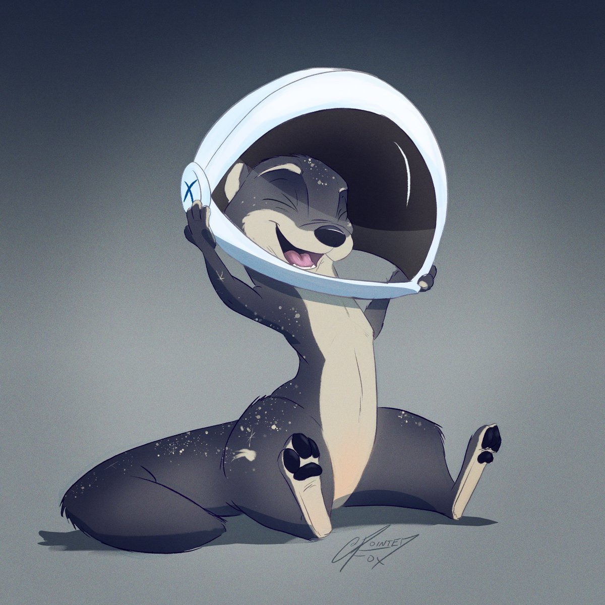 thewoluff's tweet photo. Bummed about the scrubbed manned spaceX launch today but it's also #WorldOtterDay so here's an astronott. https://t.co/YUP885rgeo