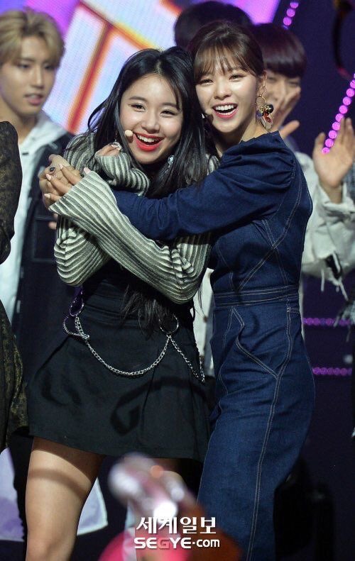 — jeongyeon and chaeyoung being cute best buds: a mini thread because i love them