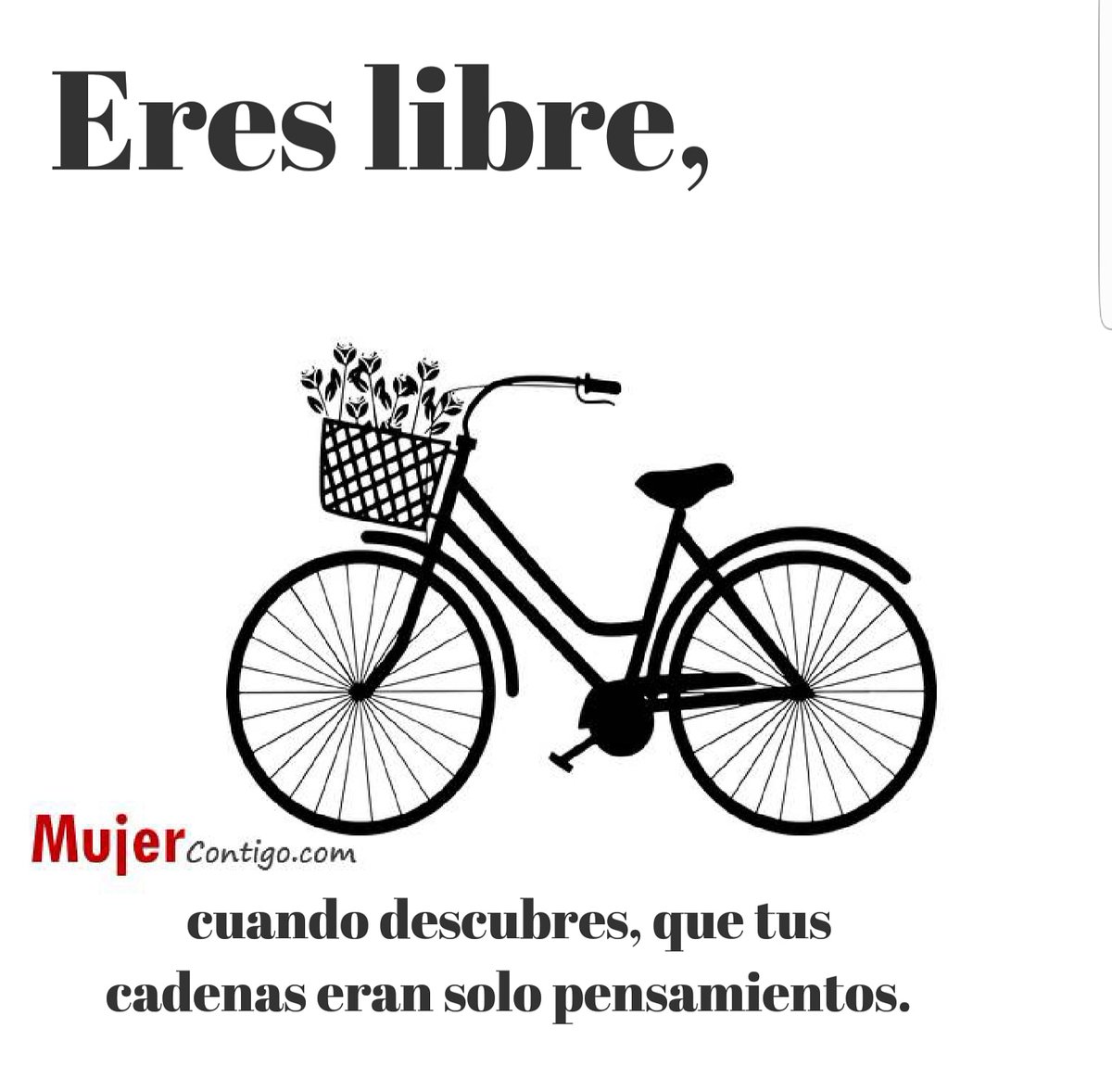 MujerContigo's tweet photo. A veces tenemos tanta basura en la cabeza, que cuesta mucho ser feliz. ⚘🙏.
.
.
.
💃💃💃 🍃SIGUE a @mujercontigo si quieres recibir buena vibra 🙏
.
.
.
#educacion #educacionfemenina
#familiaryhogar
#mujercontigo
#sabiduria #optimismo #mujer #rd #mujerdominicana #santodomingo https://t.co/IQS91d51uR