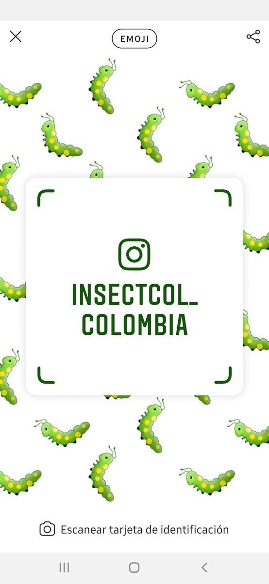 Insectcol's tweet image. ‼️📢 NO TE PIERDAS!!! Hoy 27 desde las 6 p.m.  en nuestro instagram Live, hablaremos con el Profesor Casé Oliveira, Presidente de @asbraci. LOS ESPERAMOS‼️
#insects #insectos #conservation
Asbraci Associação Brasileira dos Criadores de Insetos.