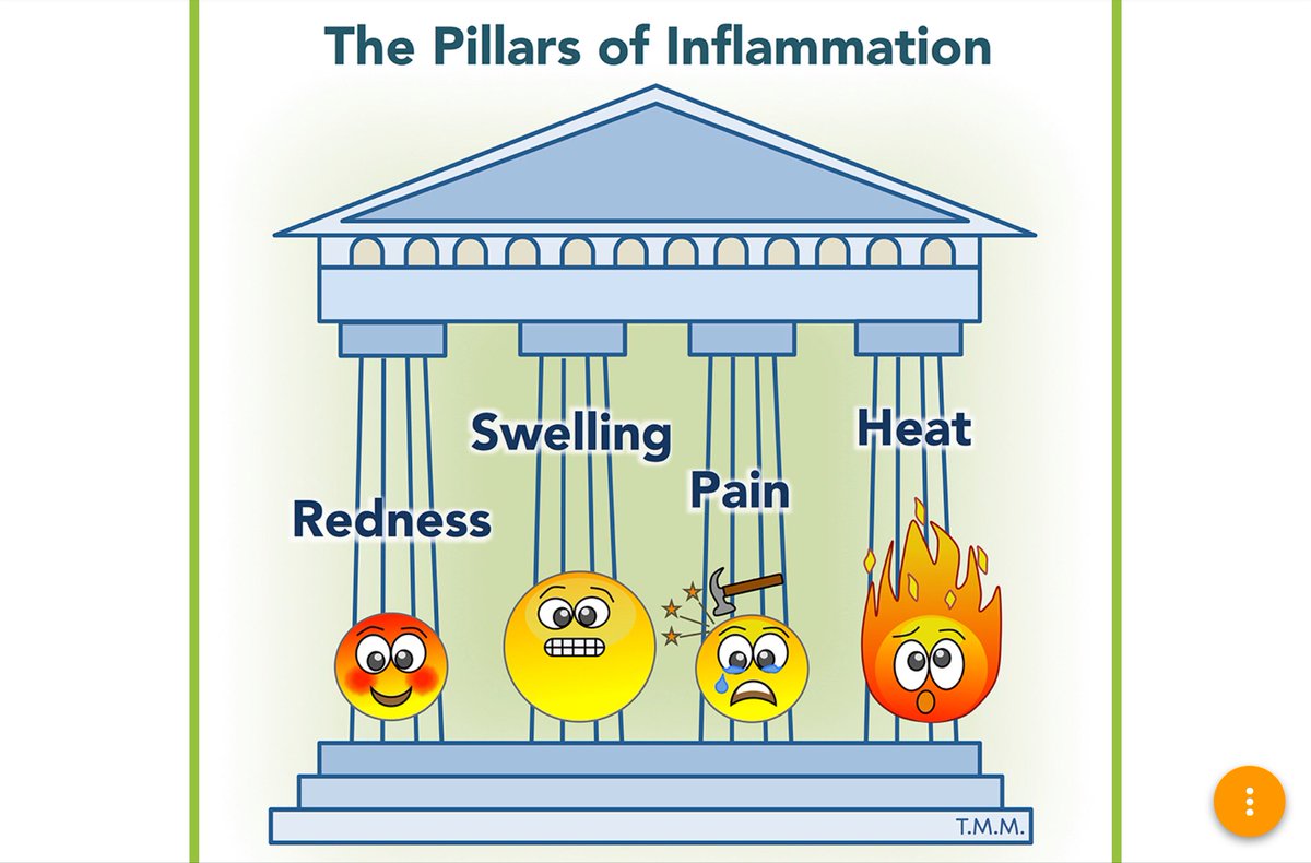 This is the classical inflammatory response and has the four classic signs and symptoms of heat, redness, pain and swelling.These four occur both in tissue damage, infection and or disease.The primary function is well discussed in the paper here  https://kids.frontiersin.org/article/10.3389/frym.2018.00051