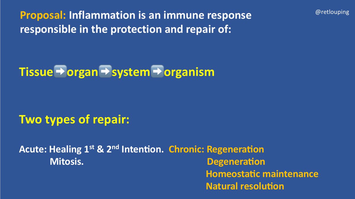 Proposal “inflammation” is an immune response responsible in the processes of protection & repair. I am going to propose a new definition of “repair” and suggest it is either acute or chronic.Our immune system uses inflammation acutely & chronically for different roles & goals.