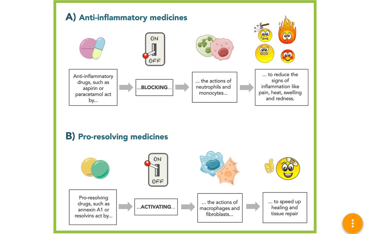 This is the resolution phase of inflammation and becomes important when we talk about chronic inflammation.The acute repair response is highly protective as there is commonly a threat of infection if skin is breached or a bacteria or virus are the cause as in COVID-19.