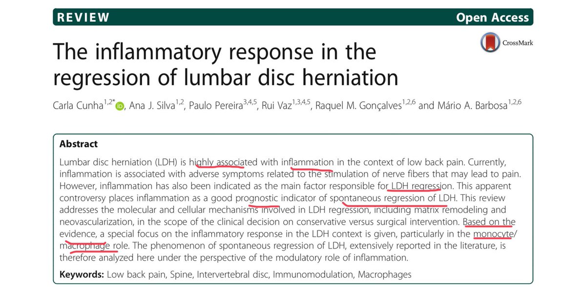 This is why I proposed that the resolution of disc herniation, extrusions and sequestration’s over time is NOT HEALING, it is part of the “chronic repair” process, more to do with resolution than healing.  https://arthritis-research.biomedcentral.com/track/pdf/10.1186/s13075-018-1743-4