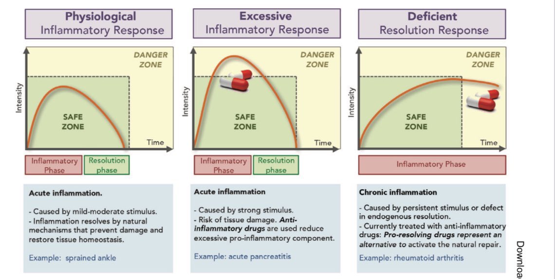 Inflammation has a meaning specific to what you first learnt it was, that messsage seems to linger even in the presence of new information and understanding. This short and well written paper outlines what I have proposed  https://portlandpress.com/biochemist/article/39/4/4/485/Resolution-in-an-over-inflamed-era