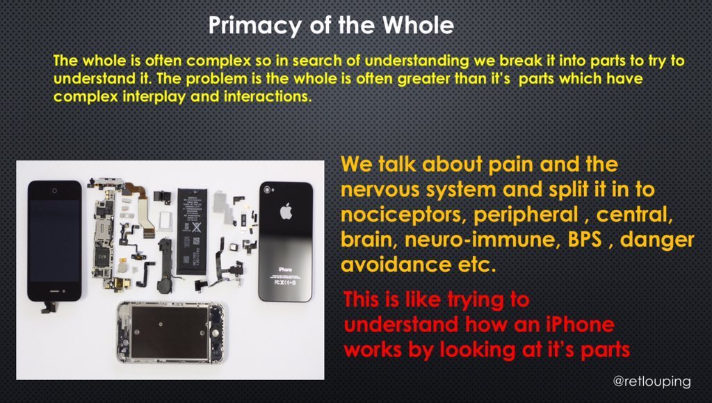 I propose understanding how inflammation differed in acute repair v chronic repair will allow a better understanding of clinical presentations, proposed treatments management and interventions. We treat the whole person not bits. Trying to understand how and why inflammatory