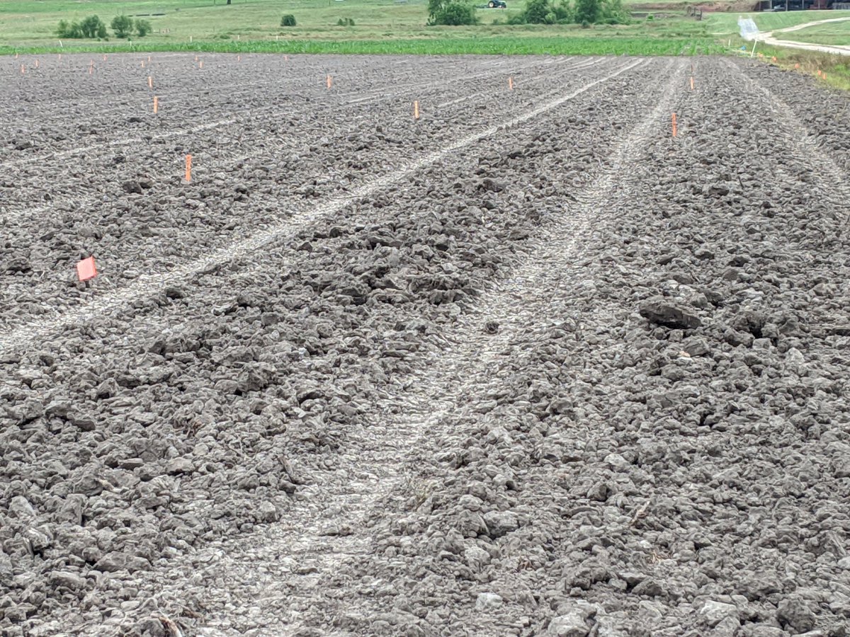 Cotton nematode test made in the ground before we got rained out... Again 👏🏻 #betterlaterthannever #NCCotton #KillinTodes