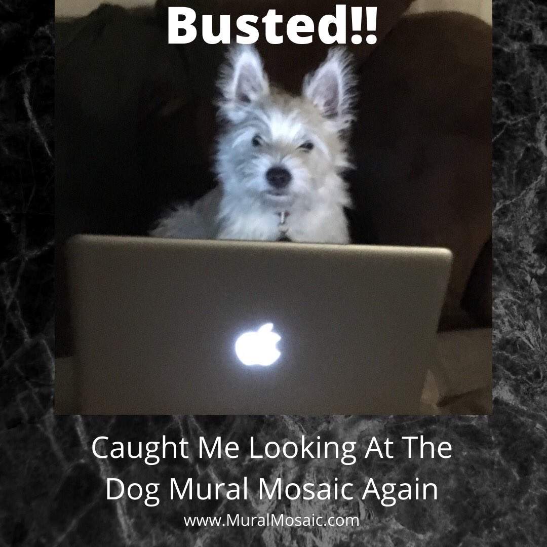 Mural Mosaic (@muralmosaic) on Twitter photo You love dogs? You gotta watch this creation over the next few months! muralmosaic.com #dogs #dogsoftwitter @dogloversorg You love dogs? You gotta watch this creation over the next few months! muralmosaic.com #dogs #dogsoftwitter @dogloversorg