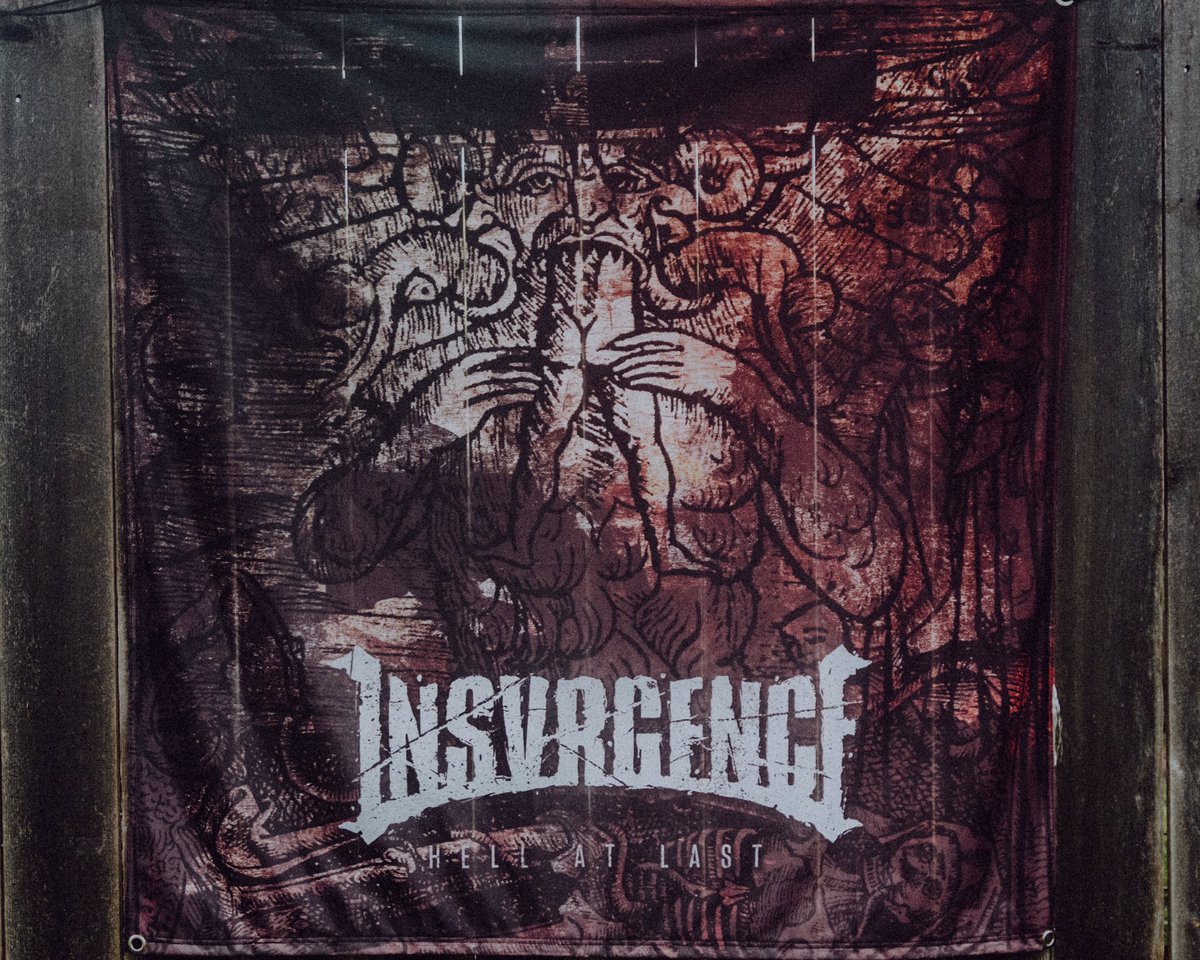 INSVRGENCE tweet media