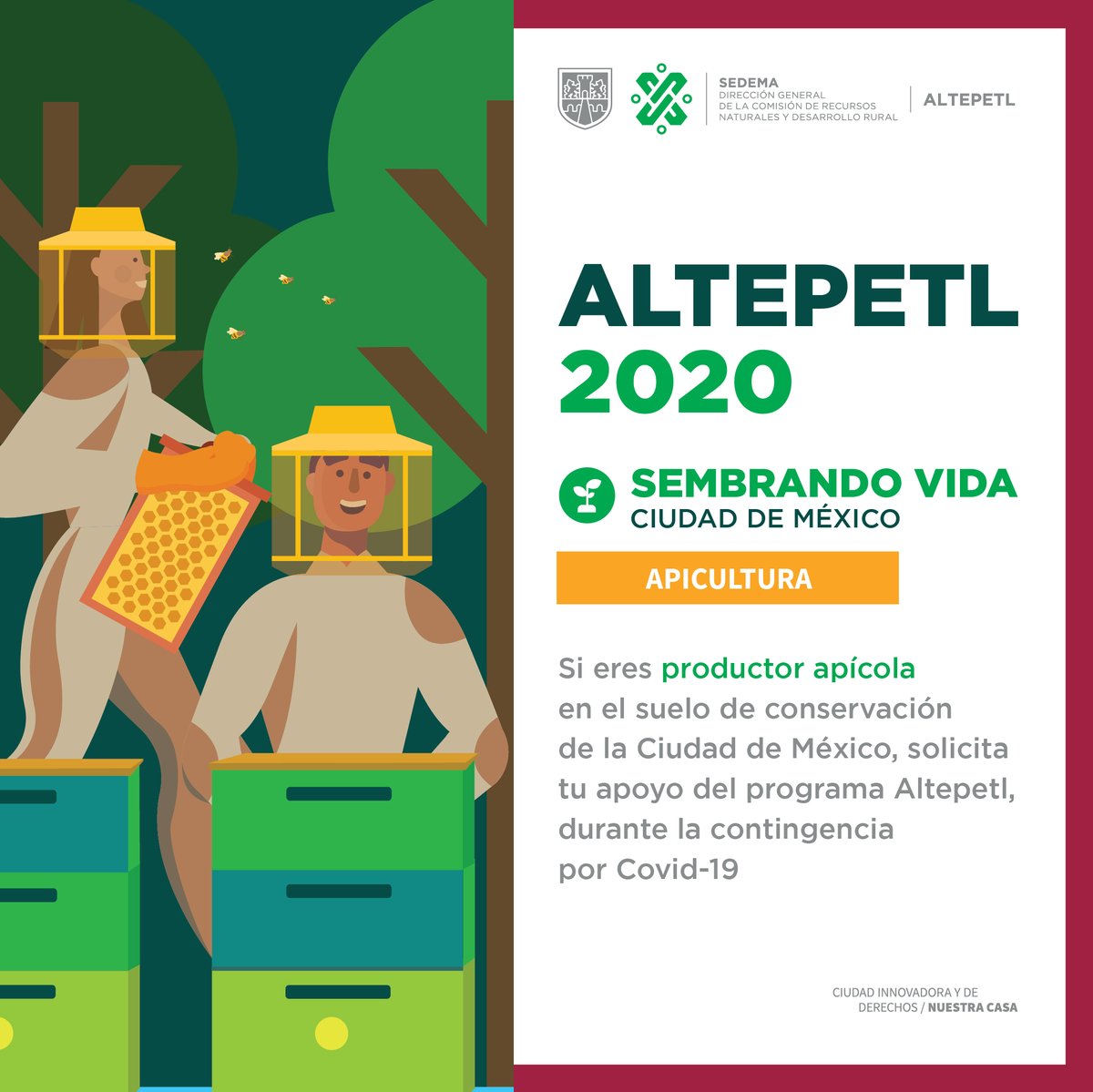 ¿Te dedicas a la #Apicultura? 🐝🐝🐝 Solicita tu apoyo del programa #Altepetl 👉 bit.ly/3c3Netf