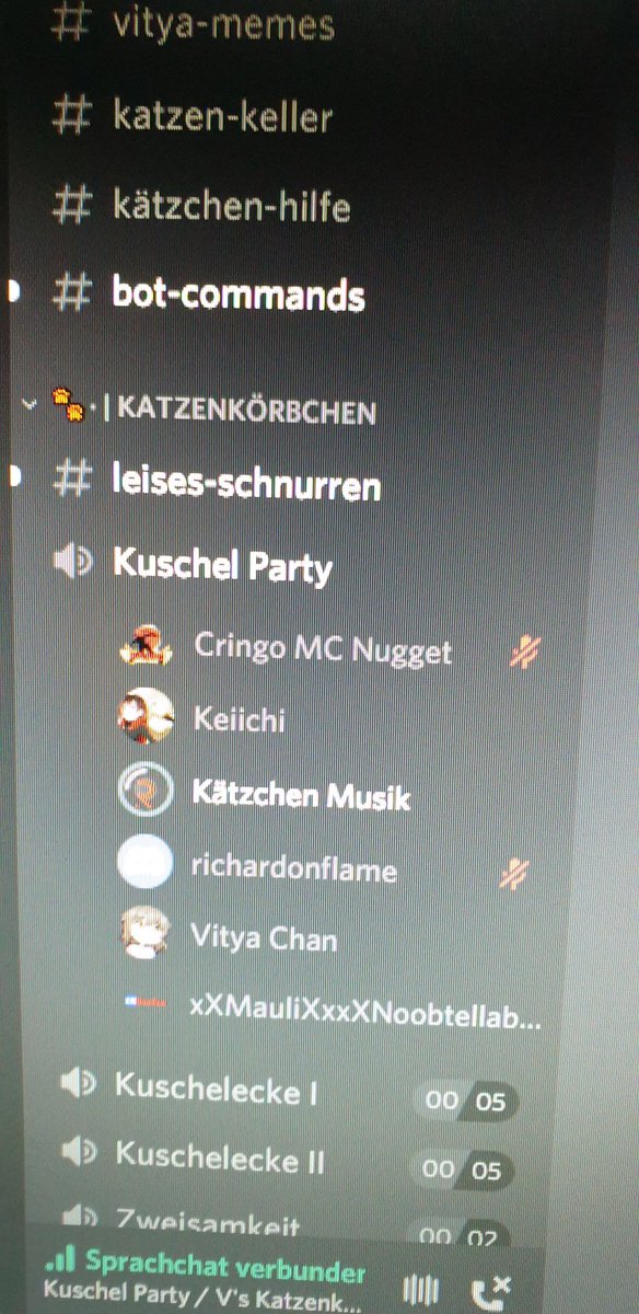 maulisworld's tweet photo. Lalelu Schlaflied im #discord für alle kleinen Kinder @JasiMagDich um 00:30. #soundbot #friendzone #emotions #katzen #körbchen ^_^ https://t.co/pfNFoEtD6j
